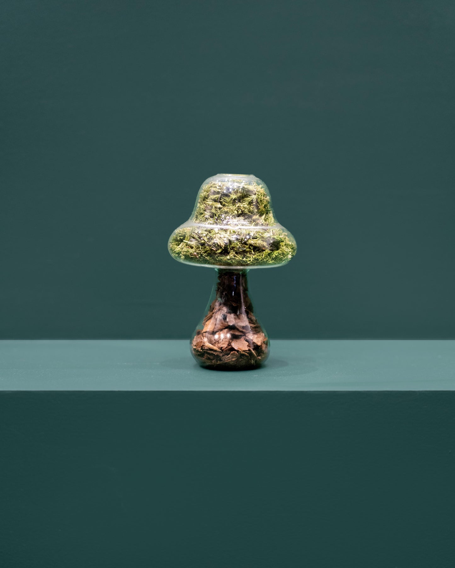 Moss Mushroom - Tall - Bark