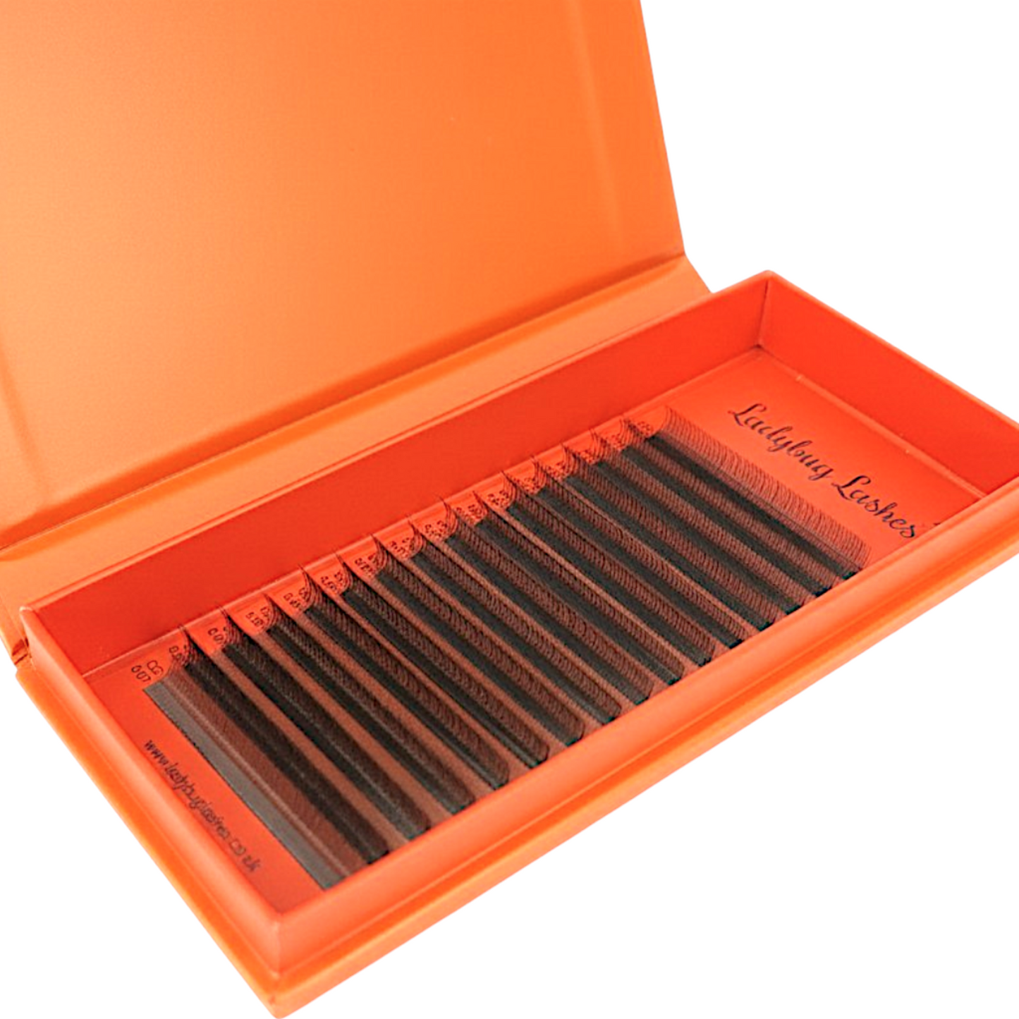 Brown U Collection Lashes – 2DU, 3DU, 4DU & 5DU Mixed Trays