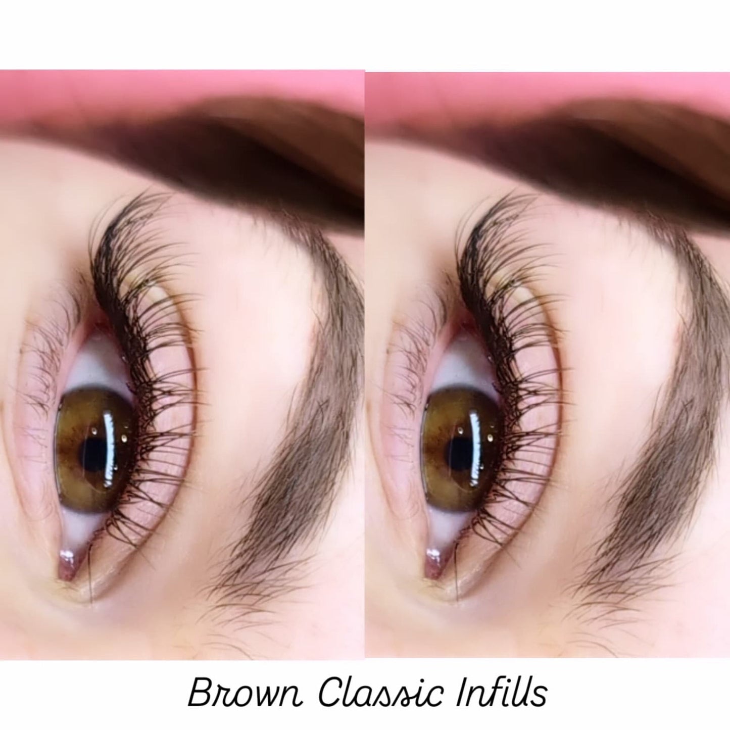 Brown Cashmere Flat Classic Lashes – Mixed Tray