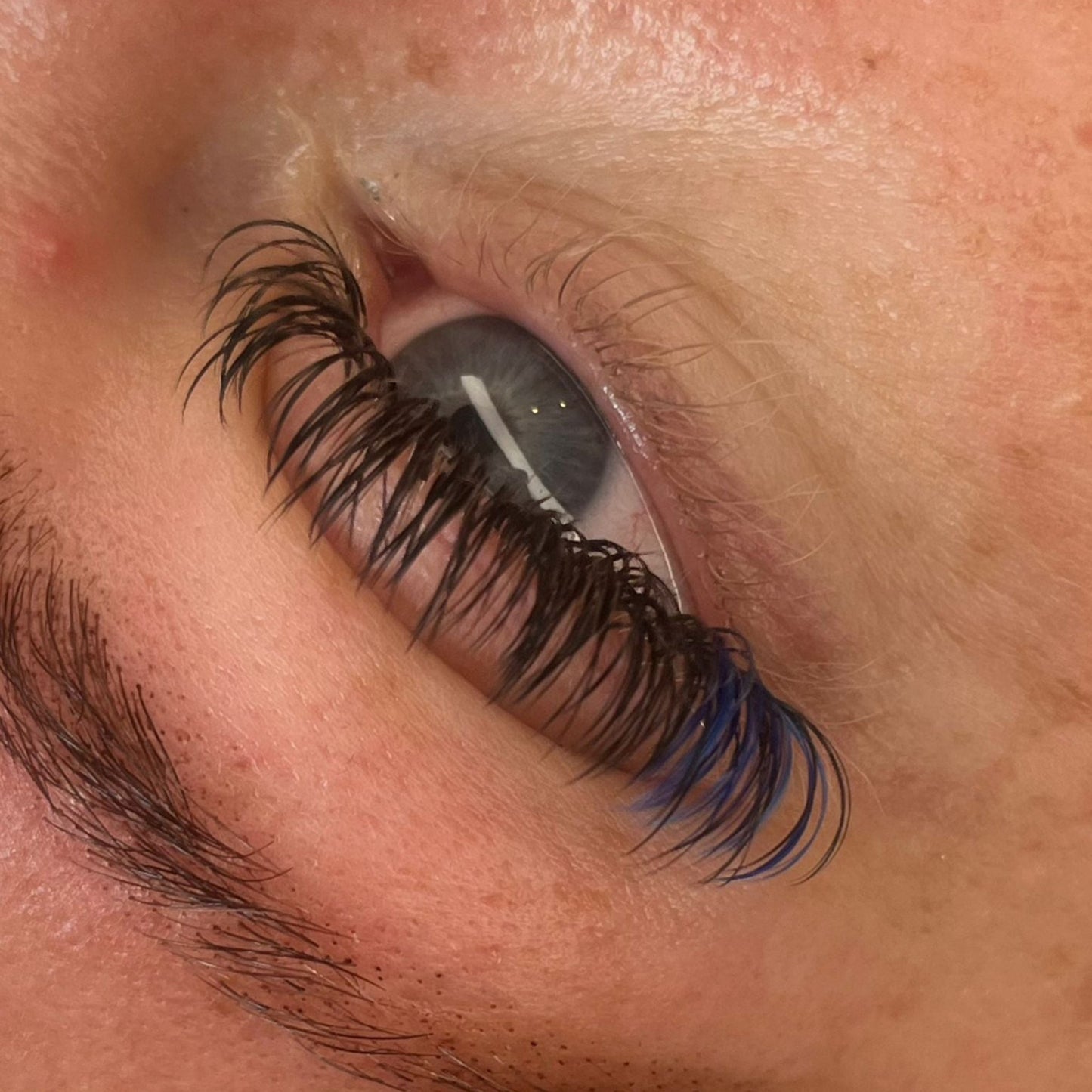 Premade Angel Lashes 5D Closed Fans 16 Row Single Length Trays