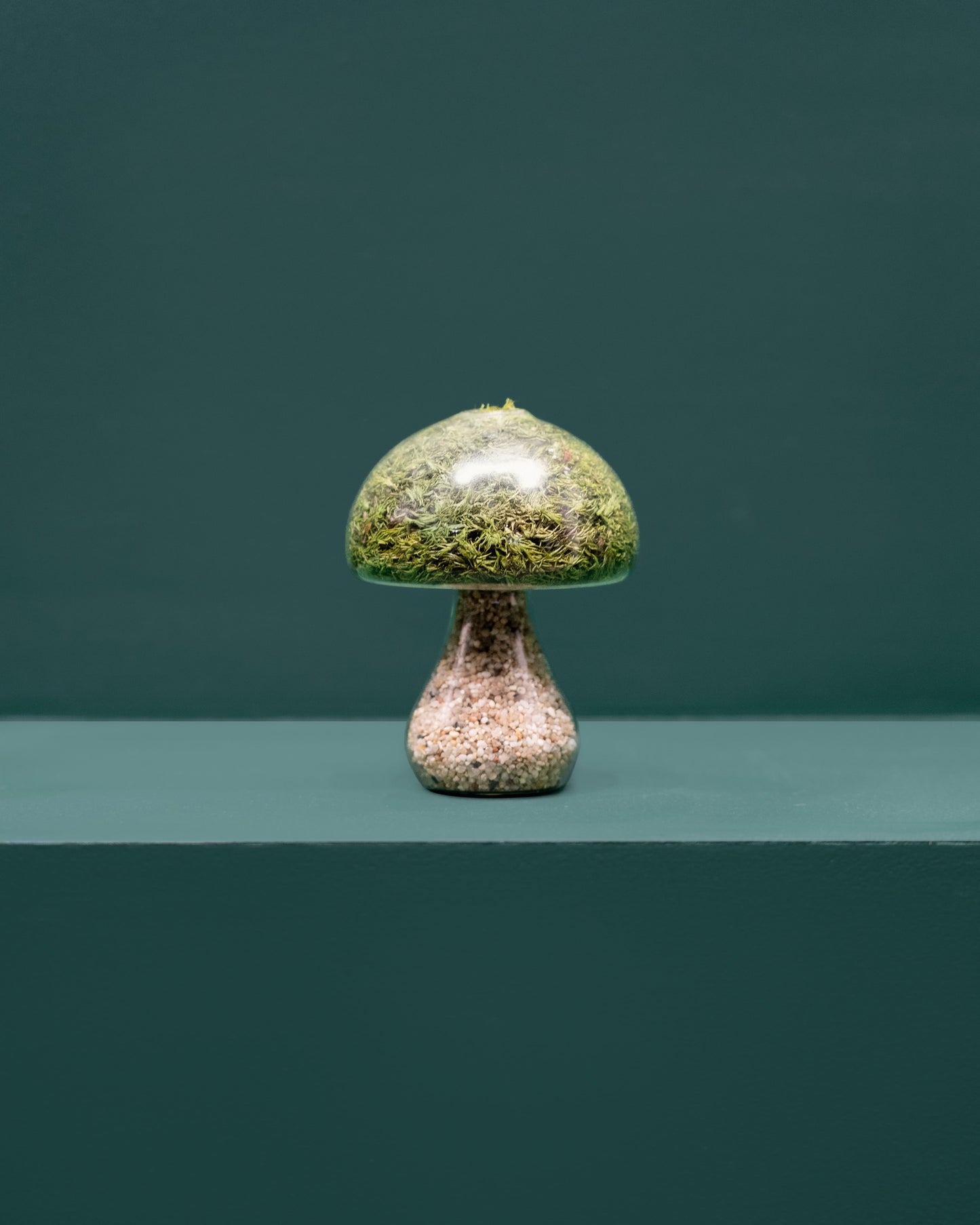 Moss Mushroom - Round - Light Stone