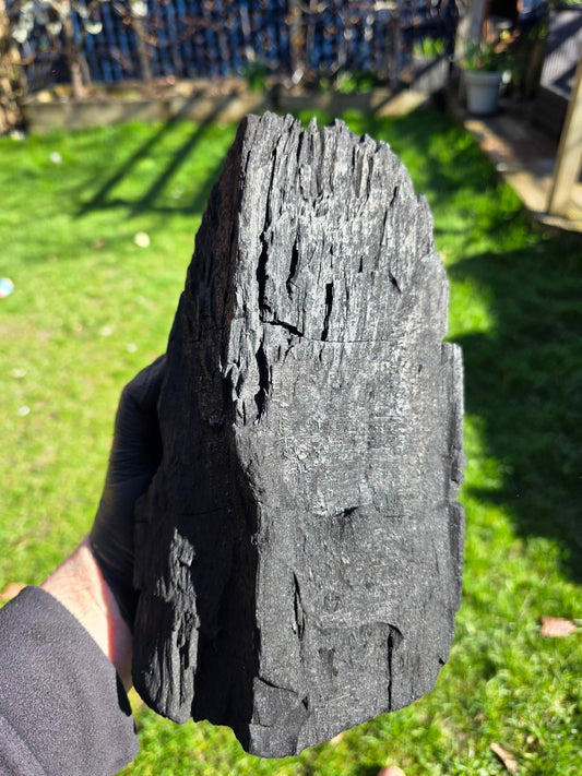 Birch Lumpwood Charcoal 5kg bag