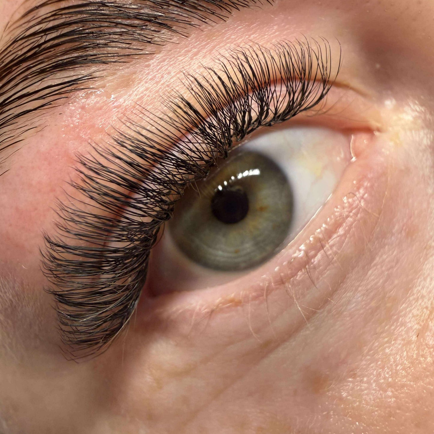 U Lashes & Double Classics | 2U, 3U, 4U & 5U