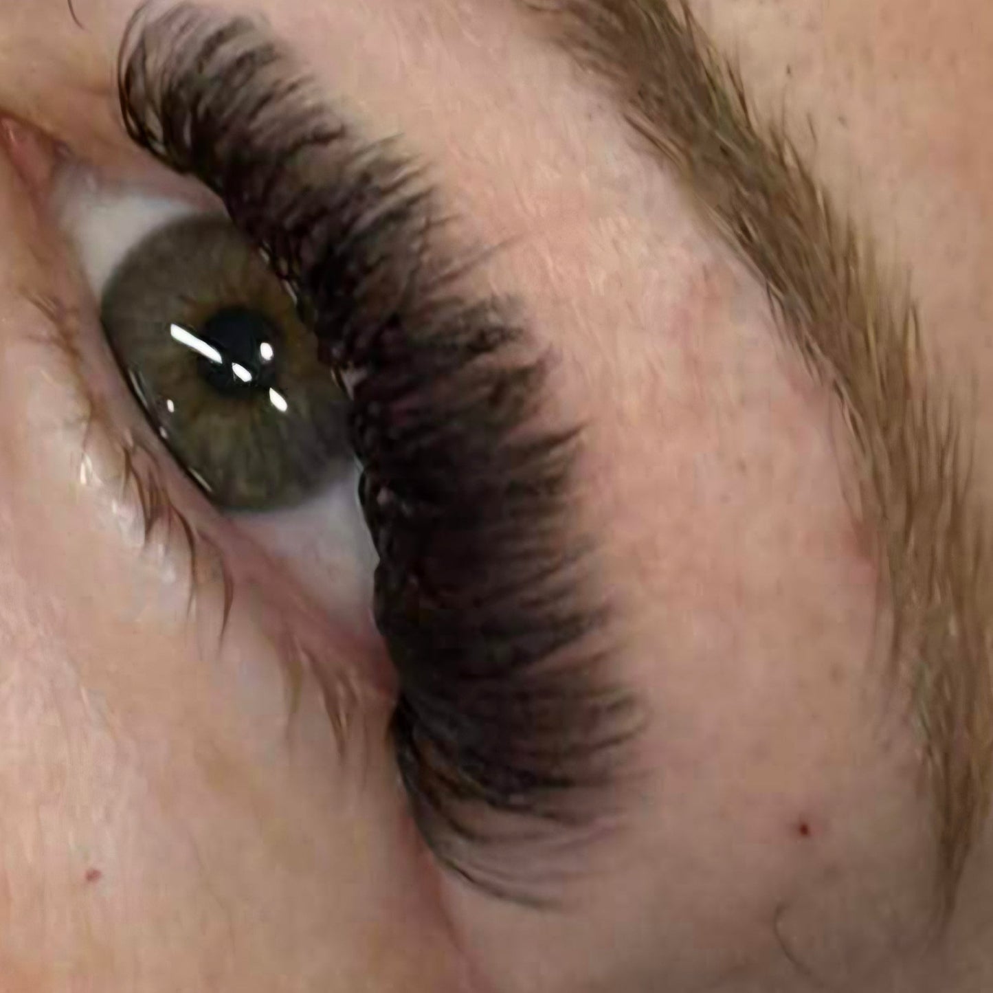 Volume Lashes – 16 Row Single Length Trays