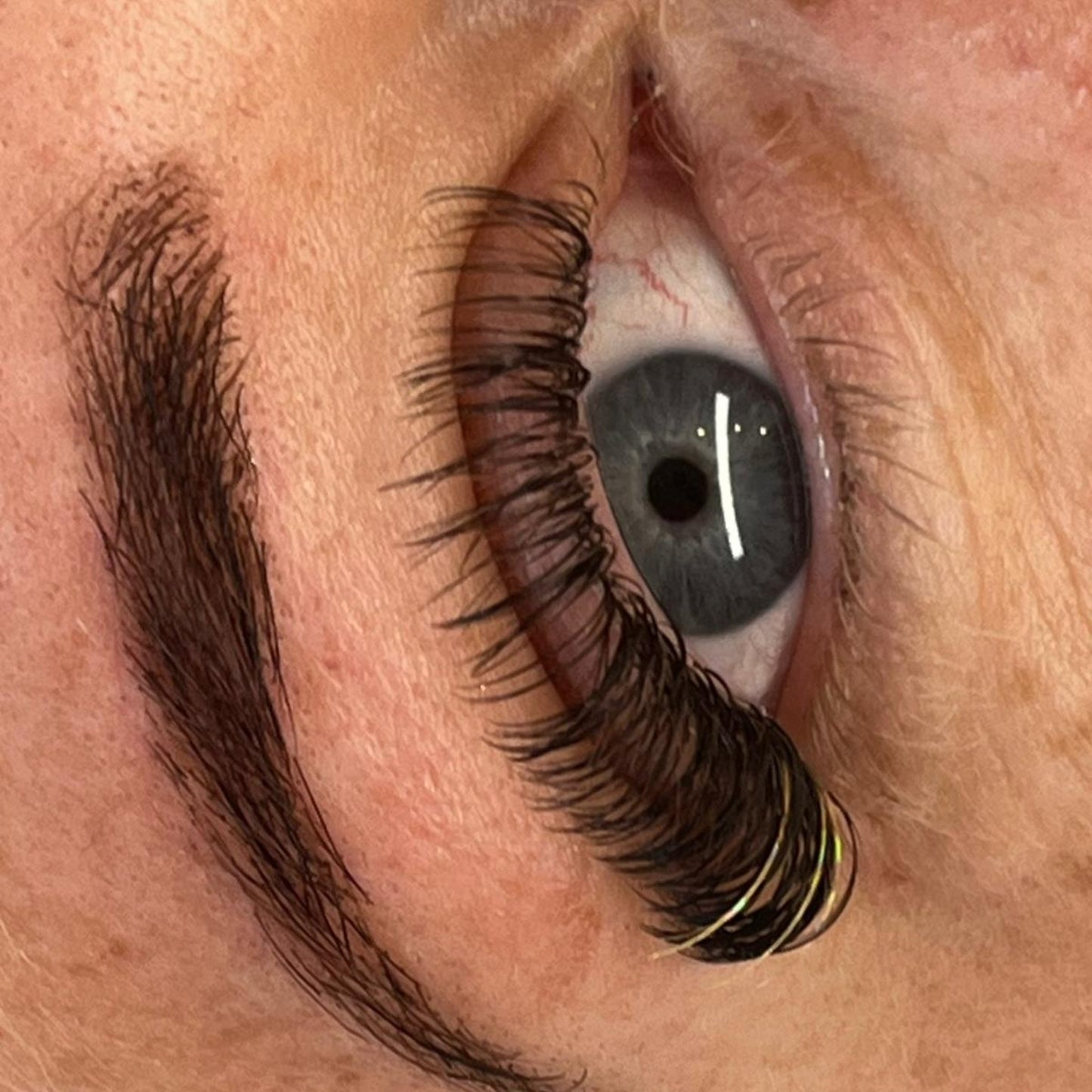 Premade Angel Lashes – 5D Closed Fans | 5 Row Tray