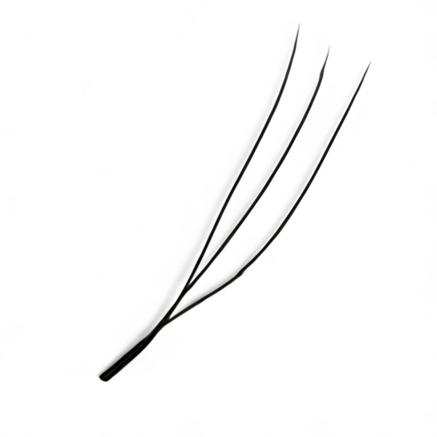 U Lashes & Double Classics | 2U, 3U, 4U & 5U