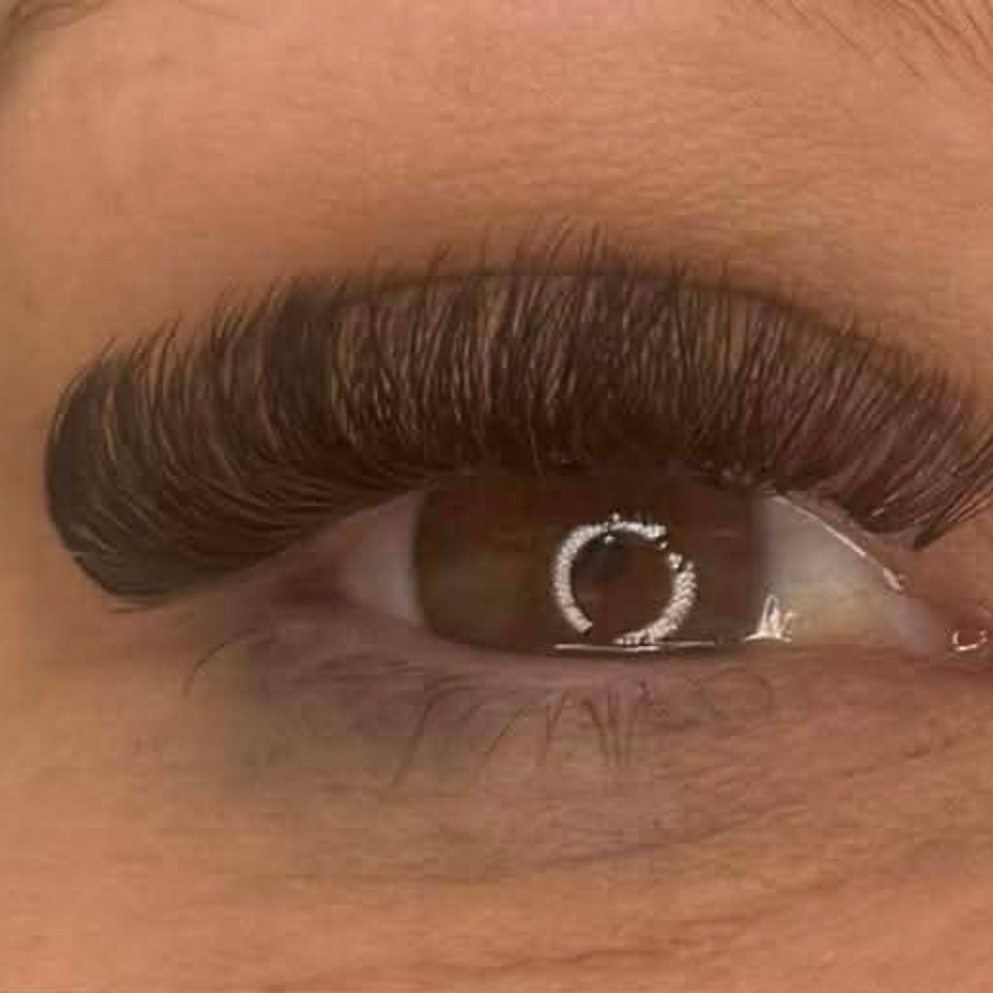 Easy Fan Lash Sample Tray – 5 Rows