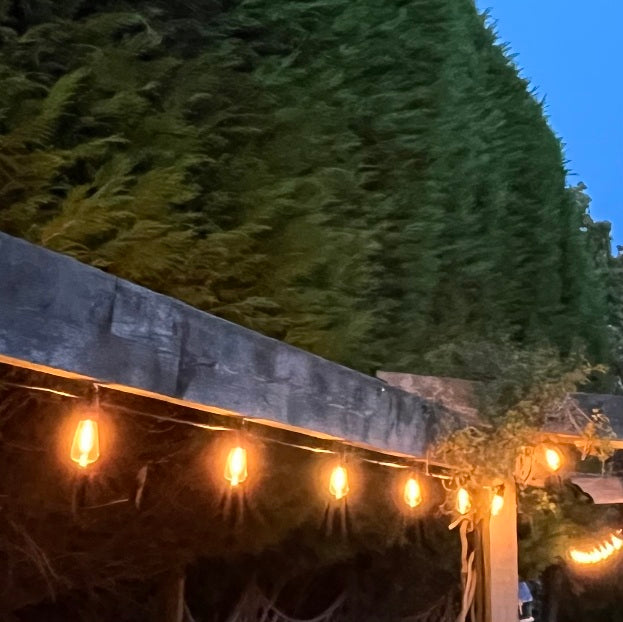 12 Pack Oval Super Festoon Warm White LED Shatterproof Bulbs