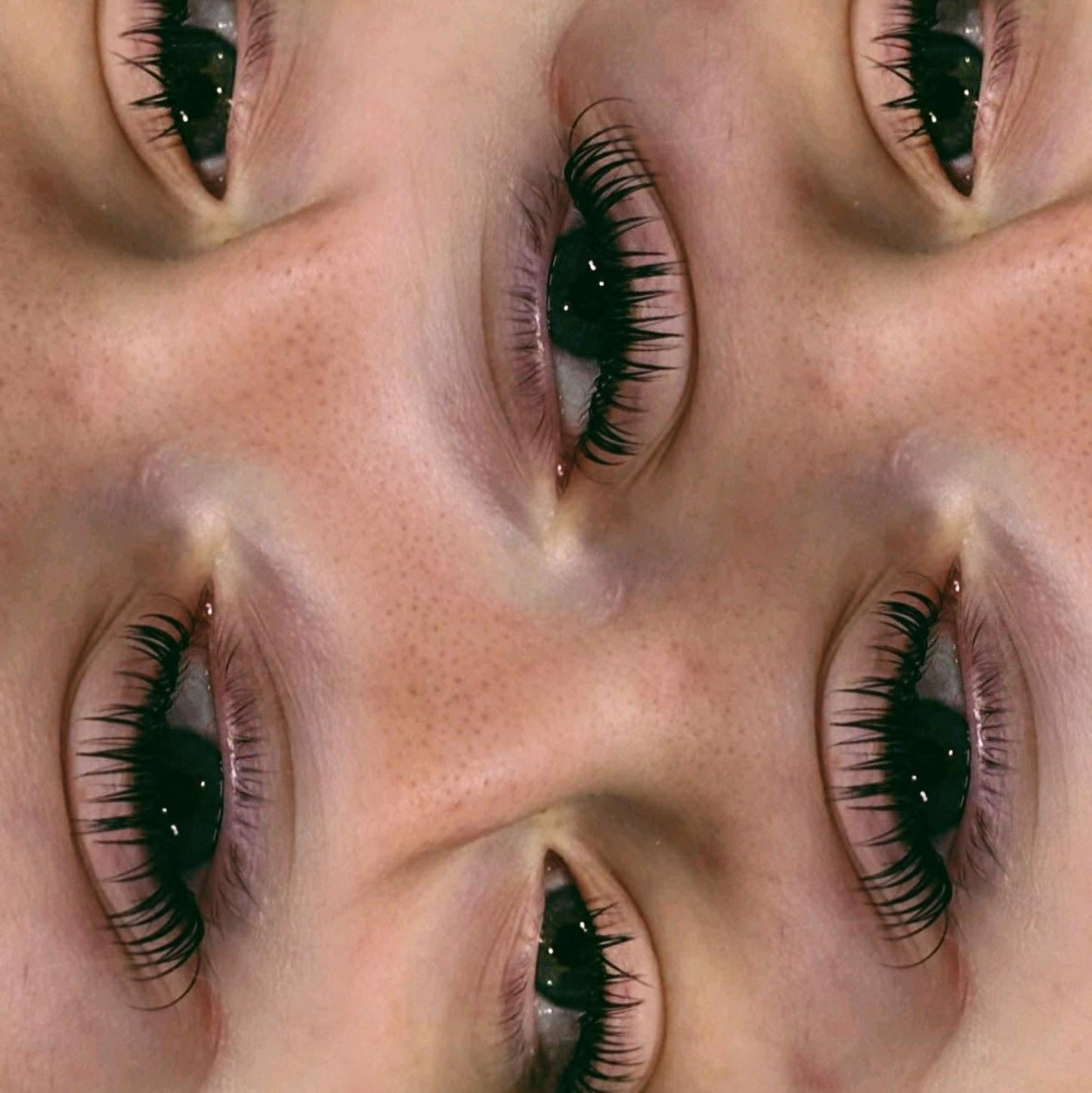 Premade Angel Lashes – 5D Closed Fans | 5 Row Tray