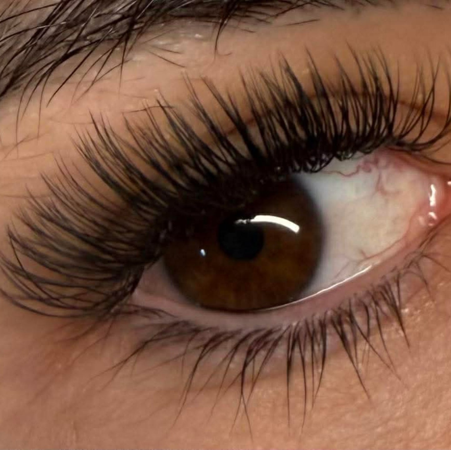 U Lashes & Double Classics | 2U, 3U, 4U & 5U