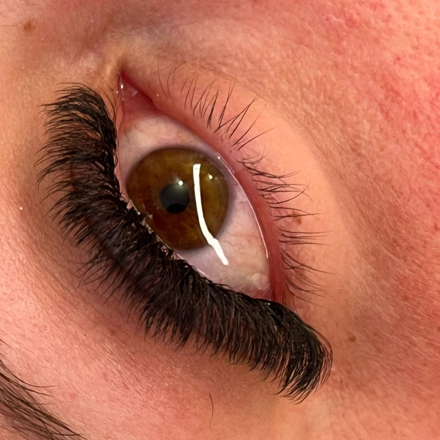 8D Clover Lash Sample Tray – 5 Rows