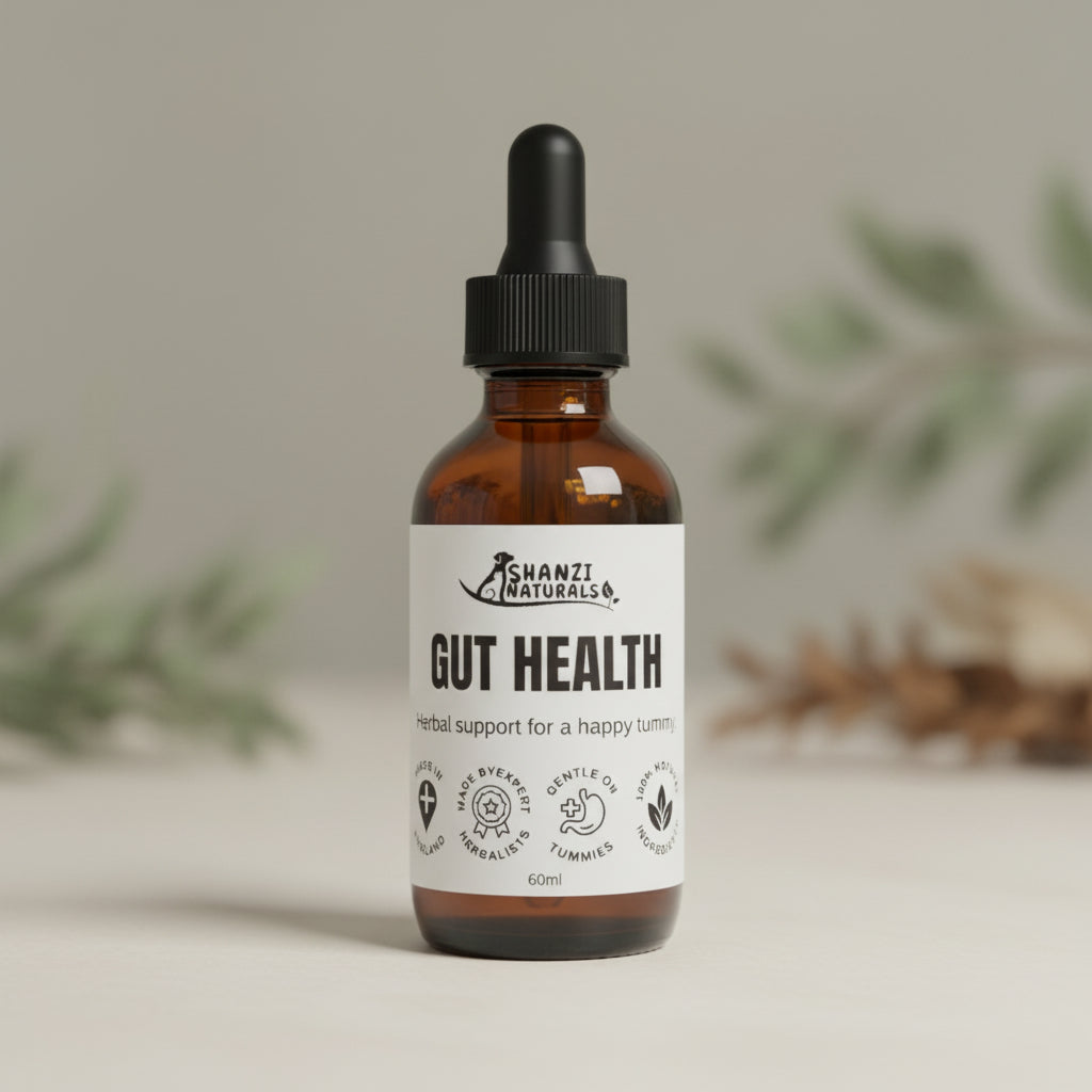 Shanzi Naturals – Gut Health Tincture For Dogs & Cats