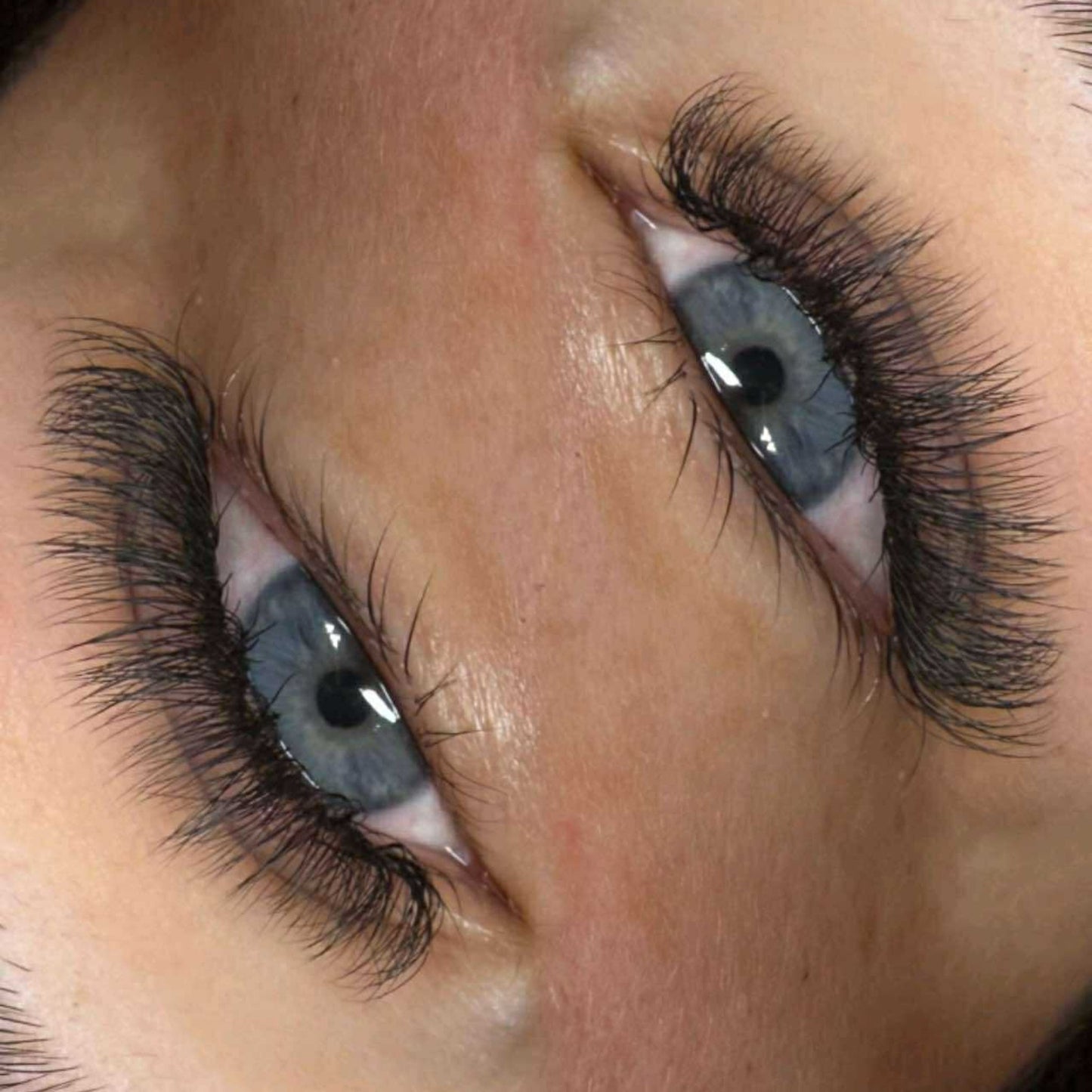 U Lashes & Double Classics | 2U, 3U, 4U & 5U