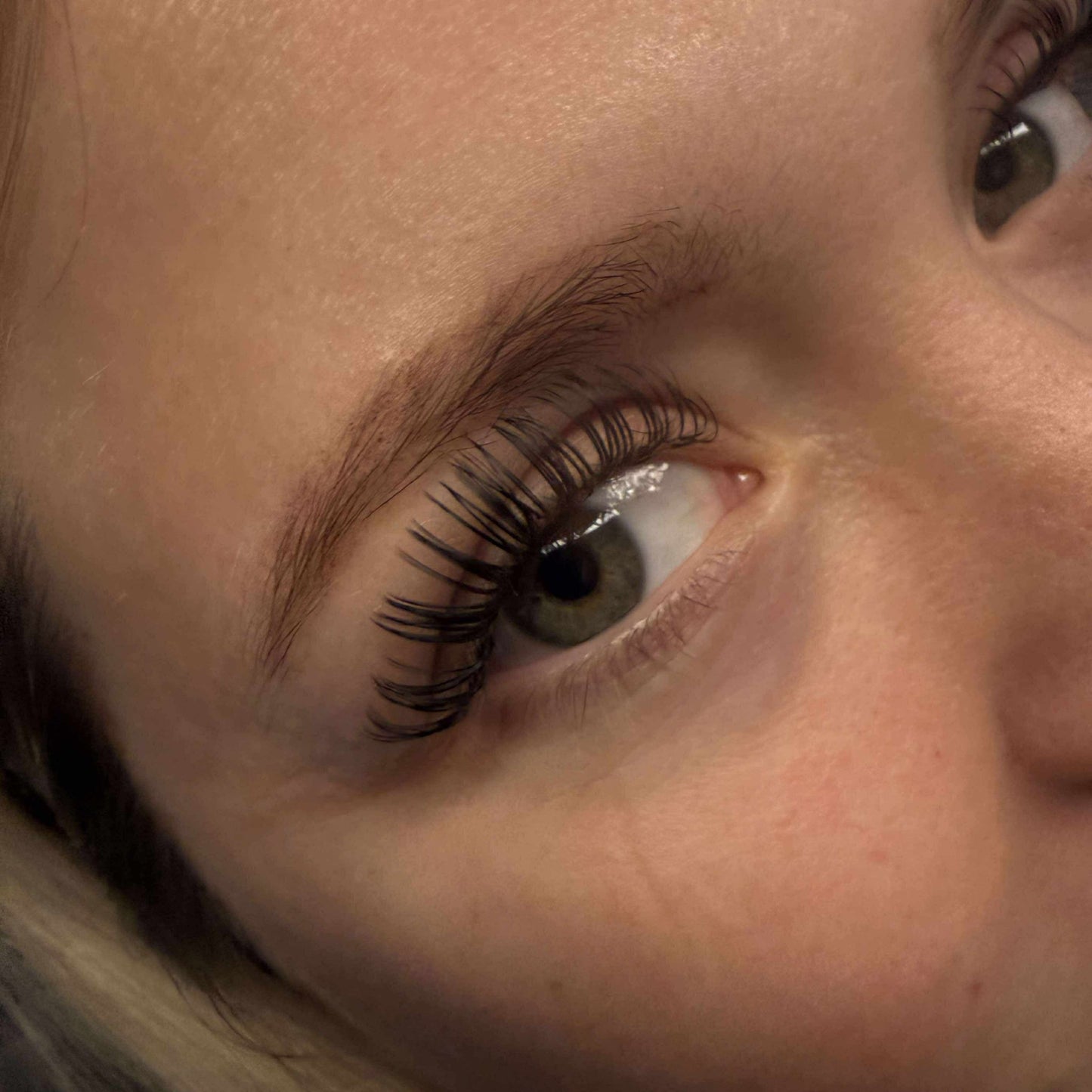 Premade Angel Lashes – 5D Closed Fans | 5 Row Tray