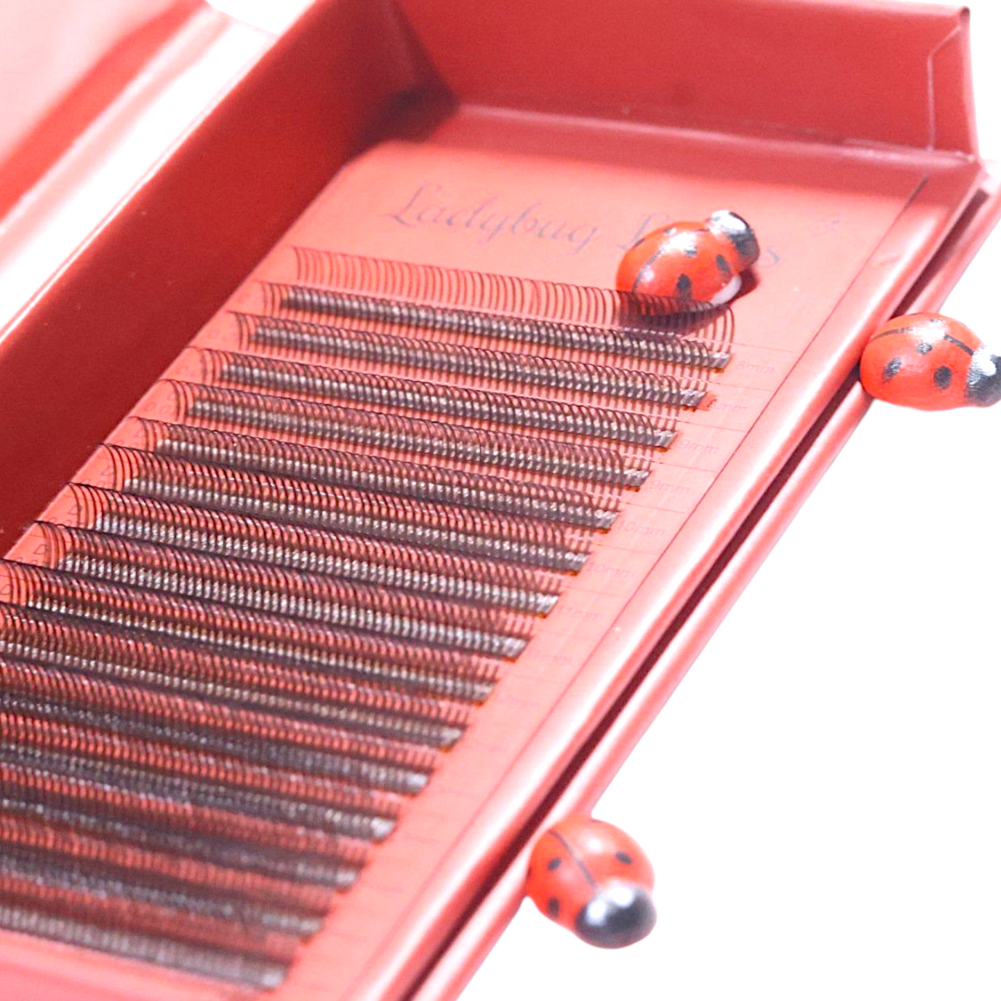 Brown Premade Angel Lashes 5D Closed Fans 16 Row Mixed Tray