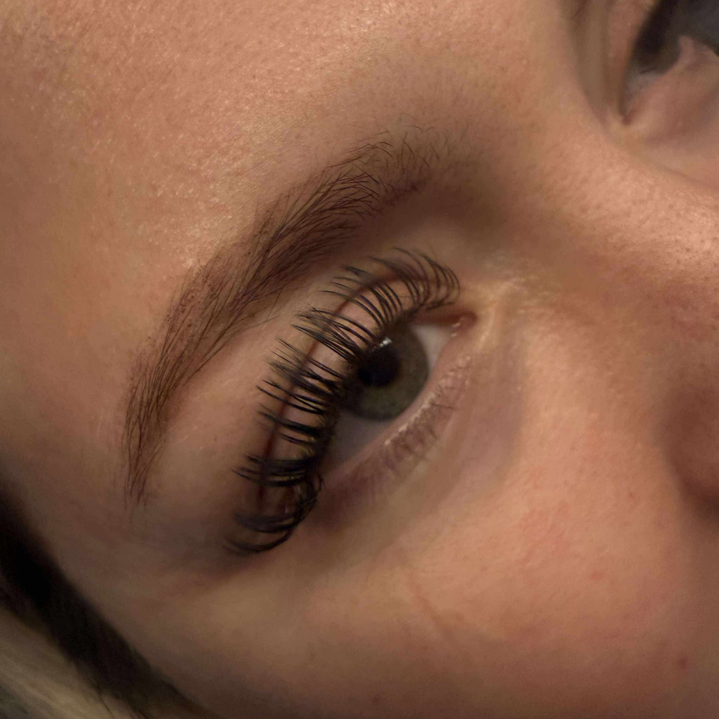 Premade Angel Lashes – 5D Closed Fans | 16 Row Mixed Tray