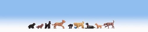 Dogs (B) Terrarium Figures 15719
