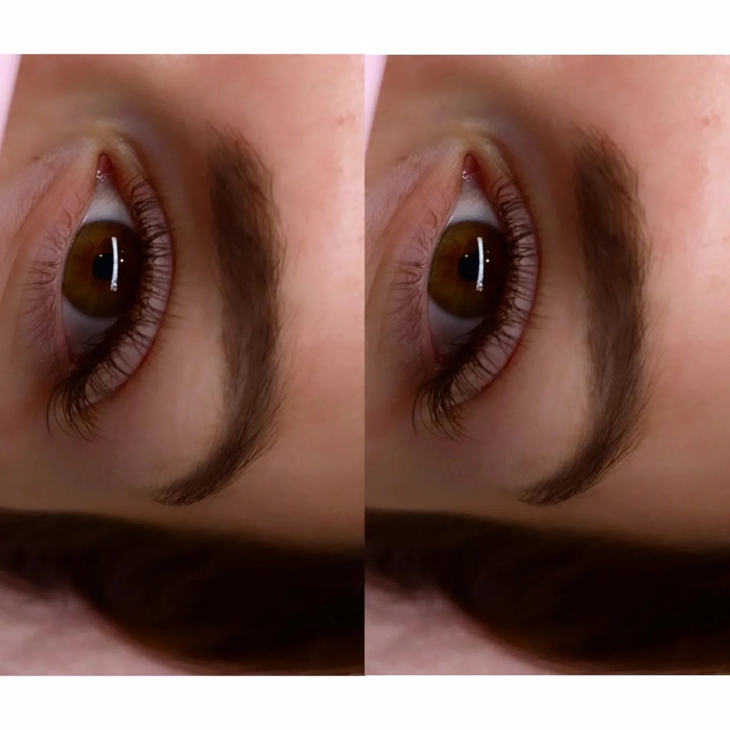 Brown Cashmere Flat Classic Lashes – Mixed Tray