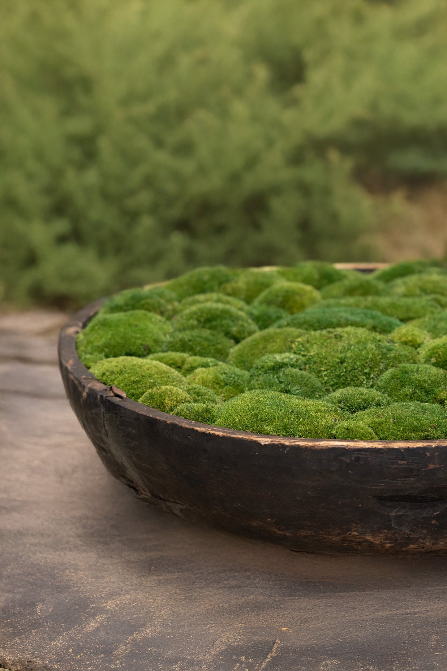 Vintage Wooden Bowl with moss FR59