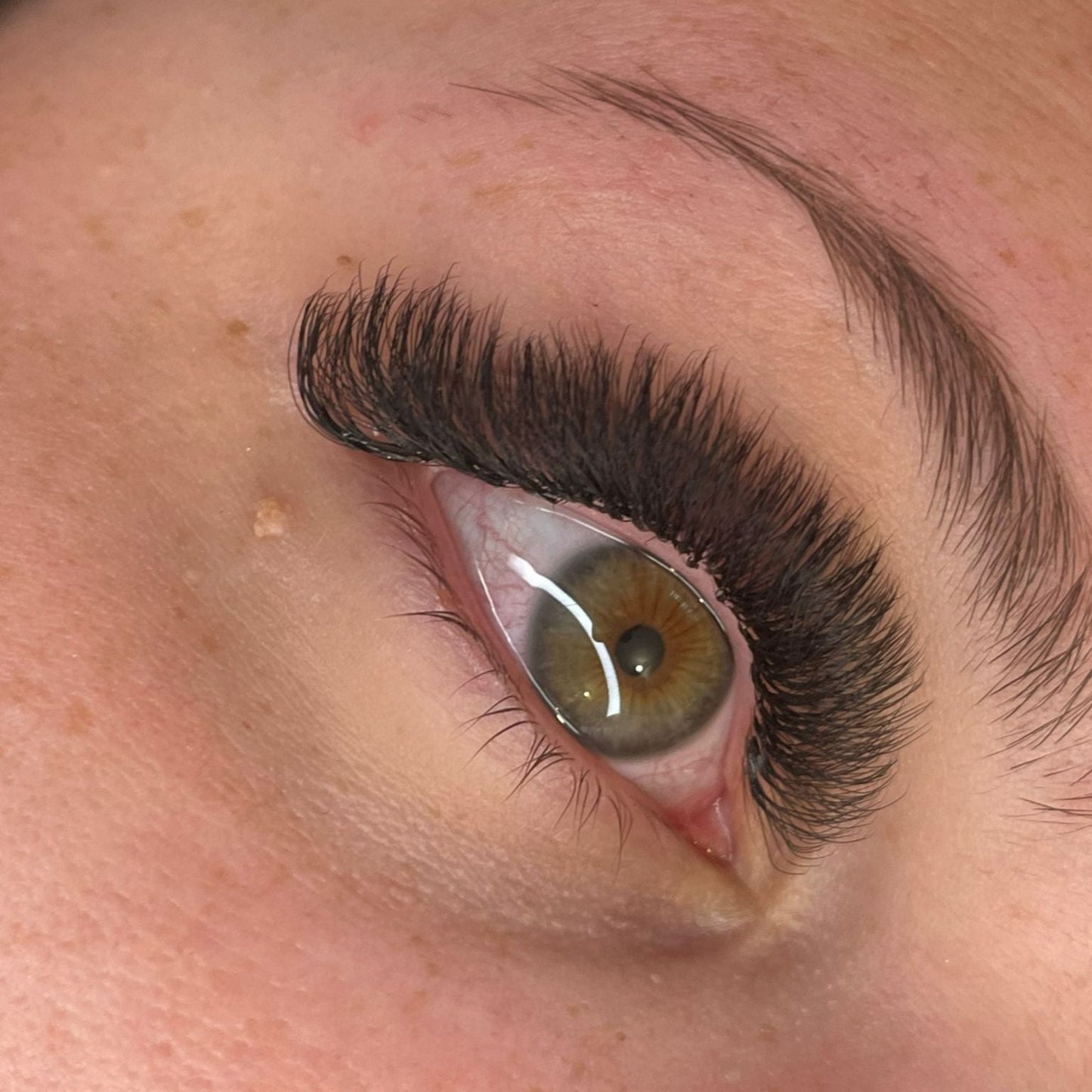 8D Clover Lashes – 16 Row Single Length Trays