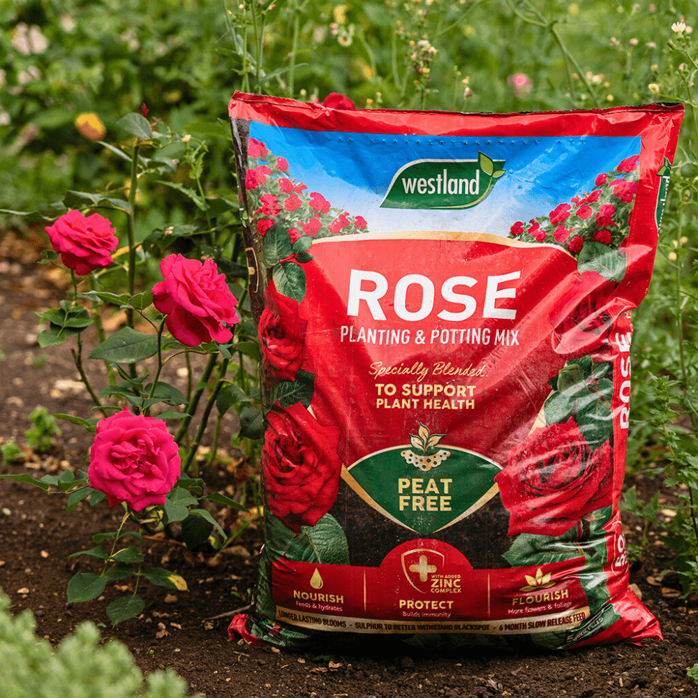 Rose Planting & Potting Mix 50ltr Bulk Buy
