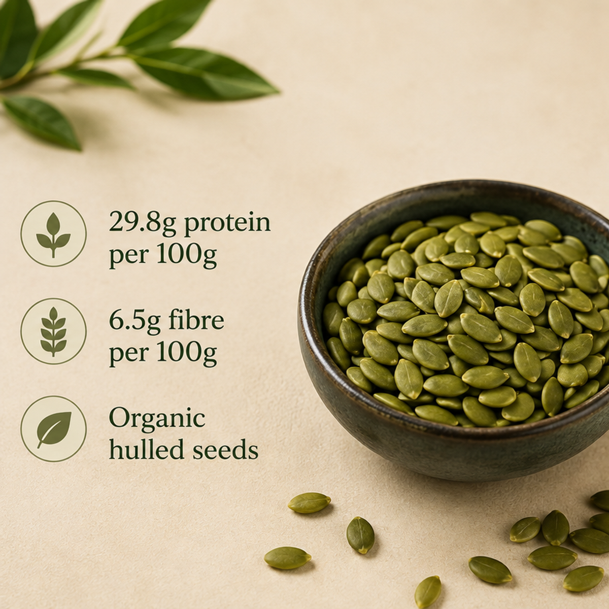 Organic Pumpkin Seeds