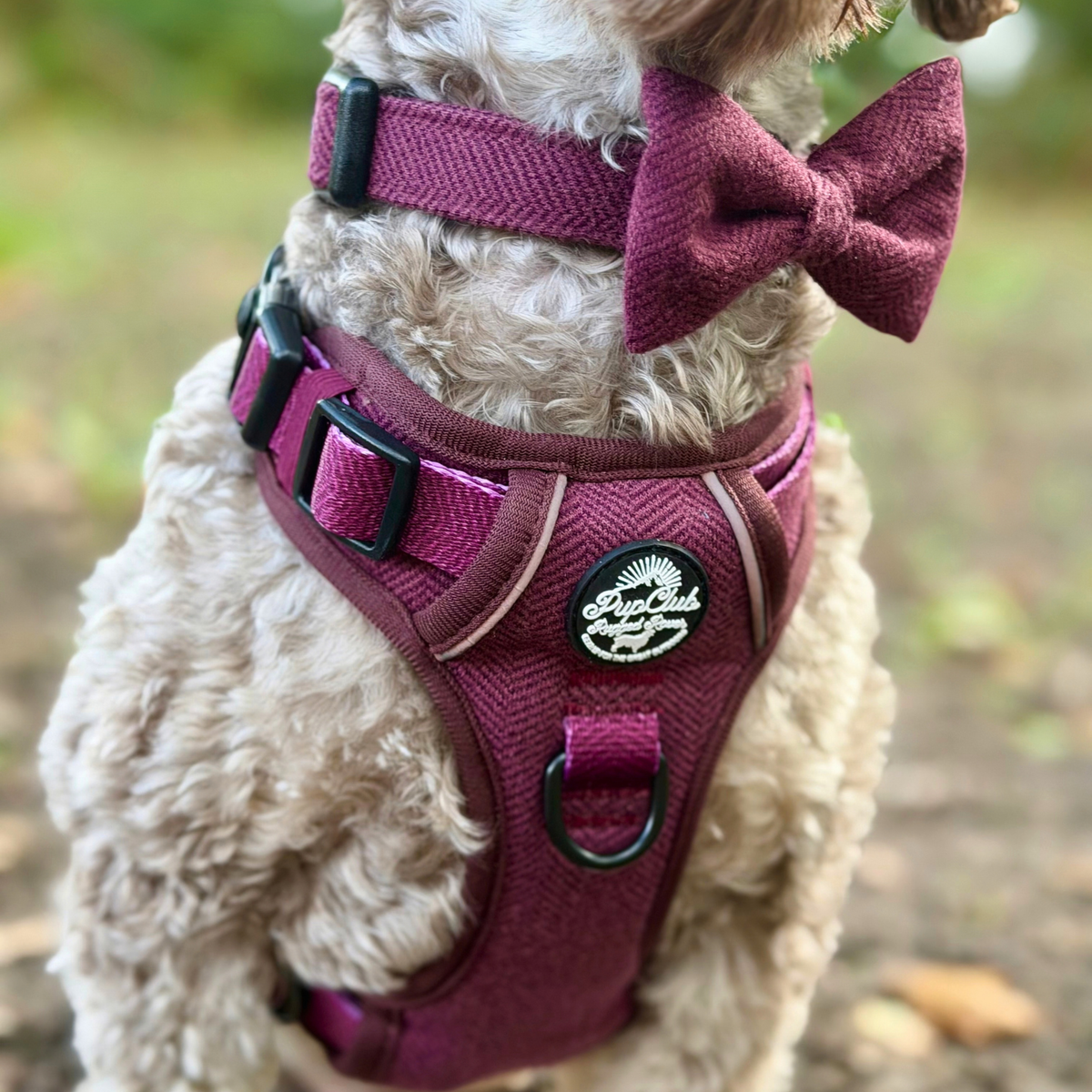Rugged Rover™ Harness - Berry Tweed