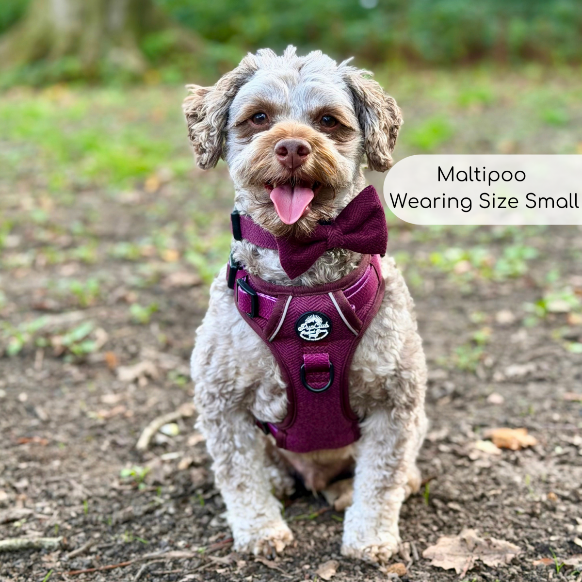 Rugged Rover™ Harness - Berry Tweed