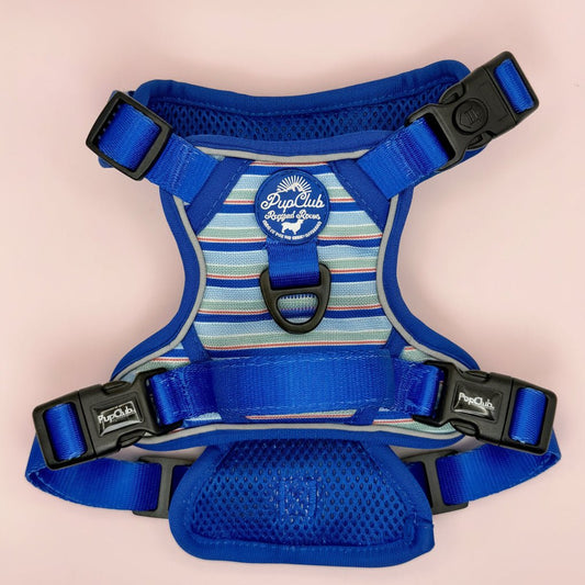 Rugged Rover™ Harness - Sea Breeze Stripes