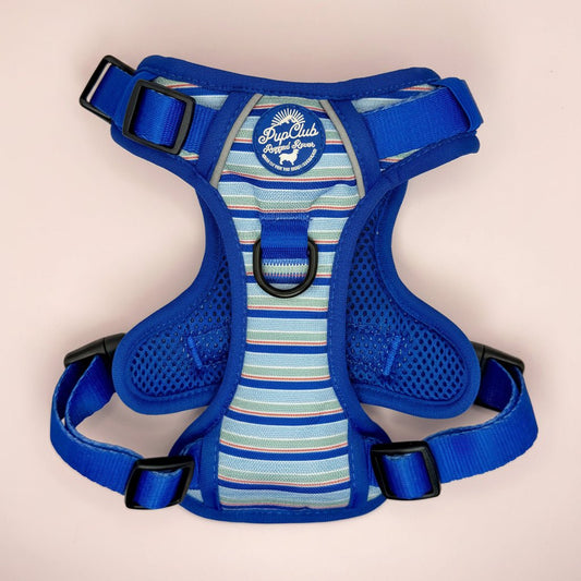 Rugged Rover™ Harness - Sea Breeze Stripes