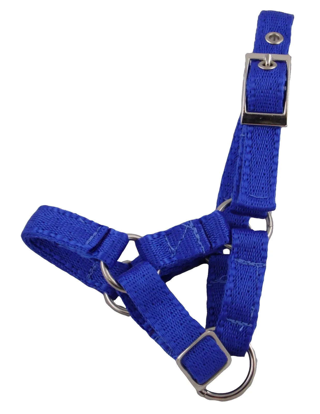 Banbury Headcollar - For Minis, Alpaca, Llama, Sheep