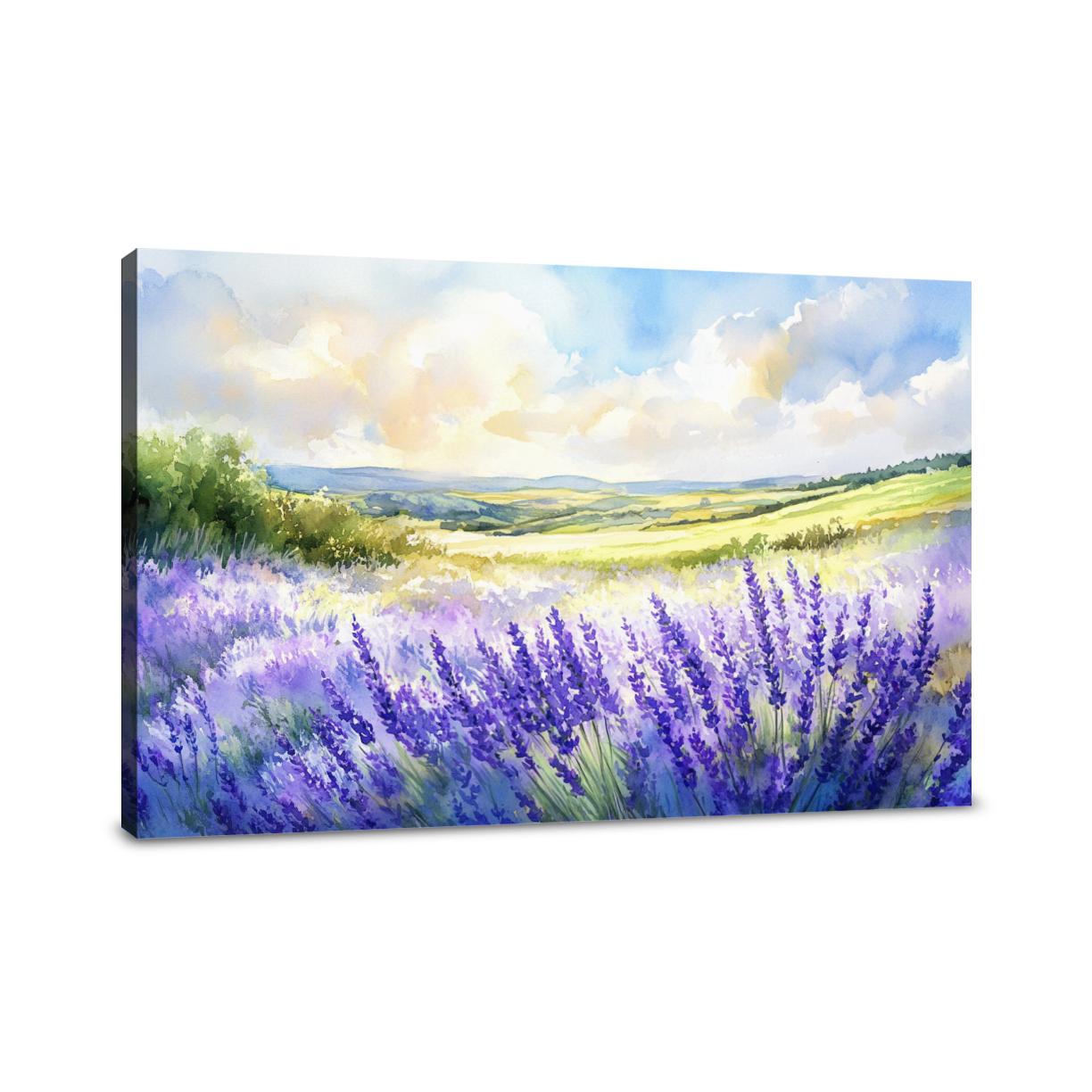 Lavender Dreams Canvas