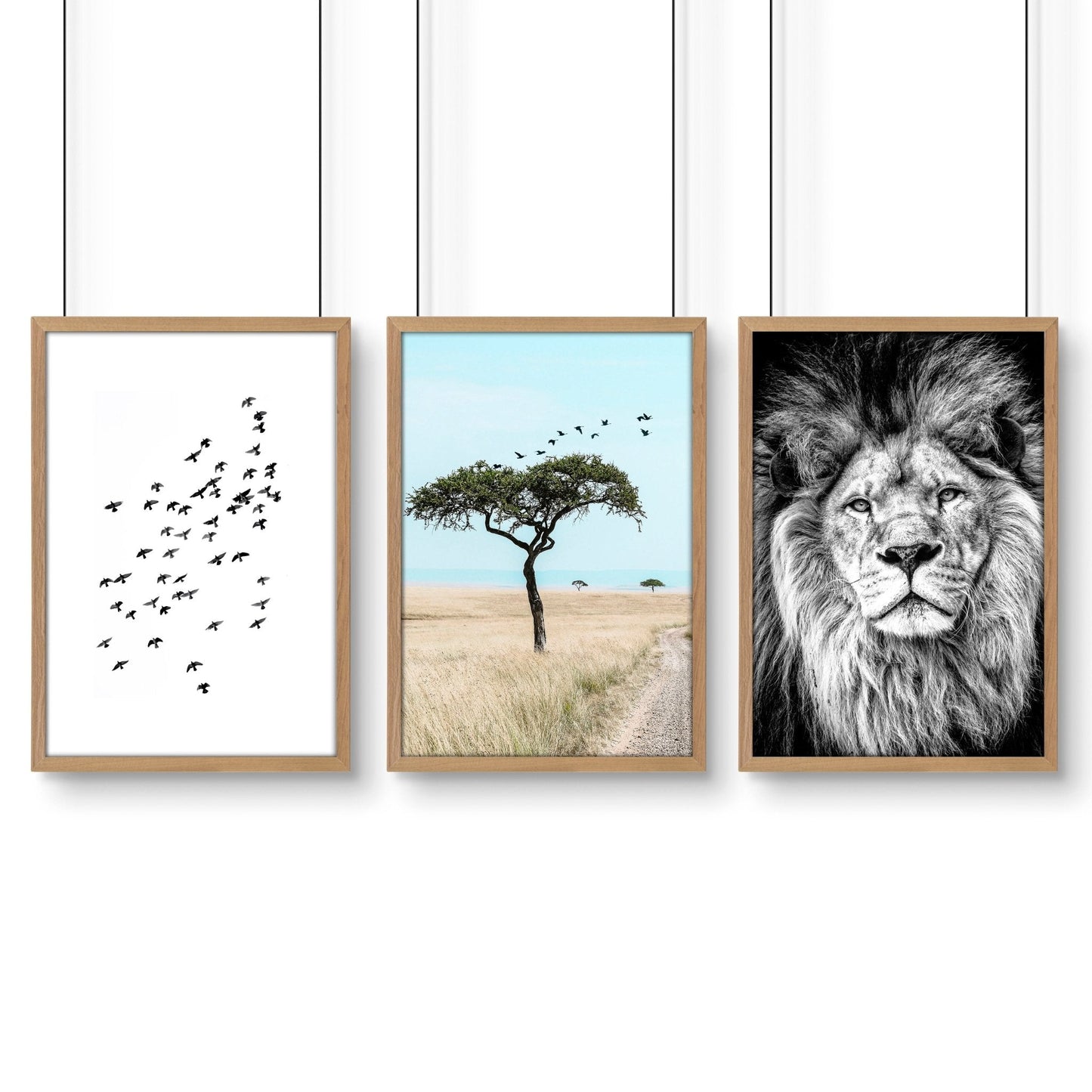 Safari Accessories For Bedroom | Set of 3 African Wildlife Wall art Prints