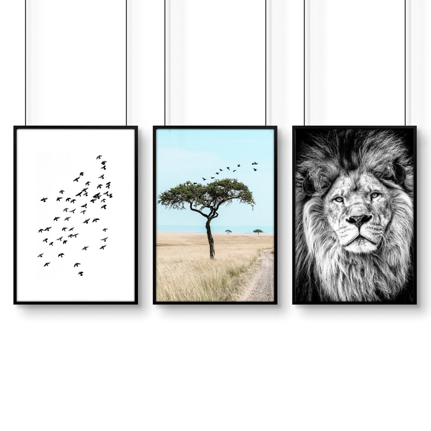 Safari Accessories For Bedroom | Set of 3 African Wildlife Wall art Prints