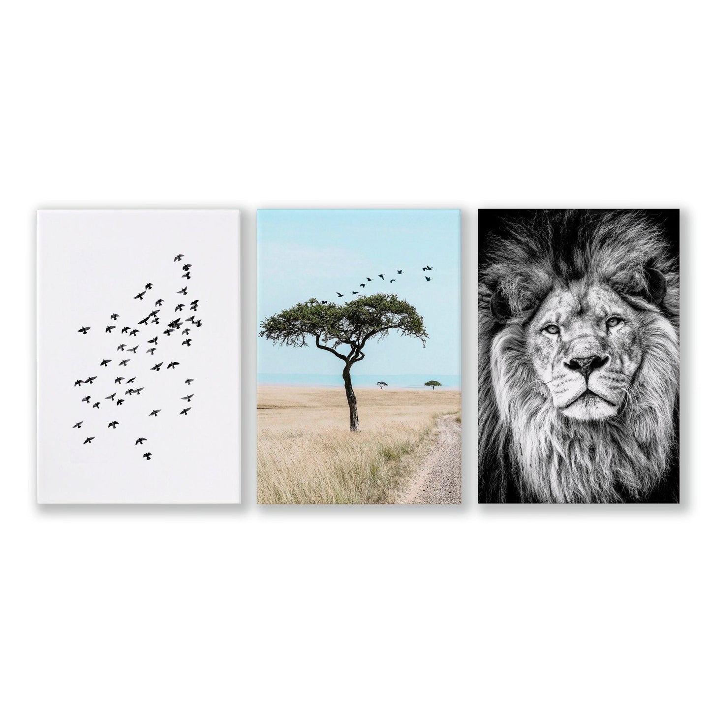 Safari Accessories For Bedroom | Set of 3 African Wildlife Wall art Prints