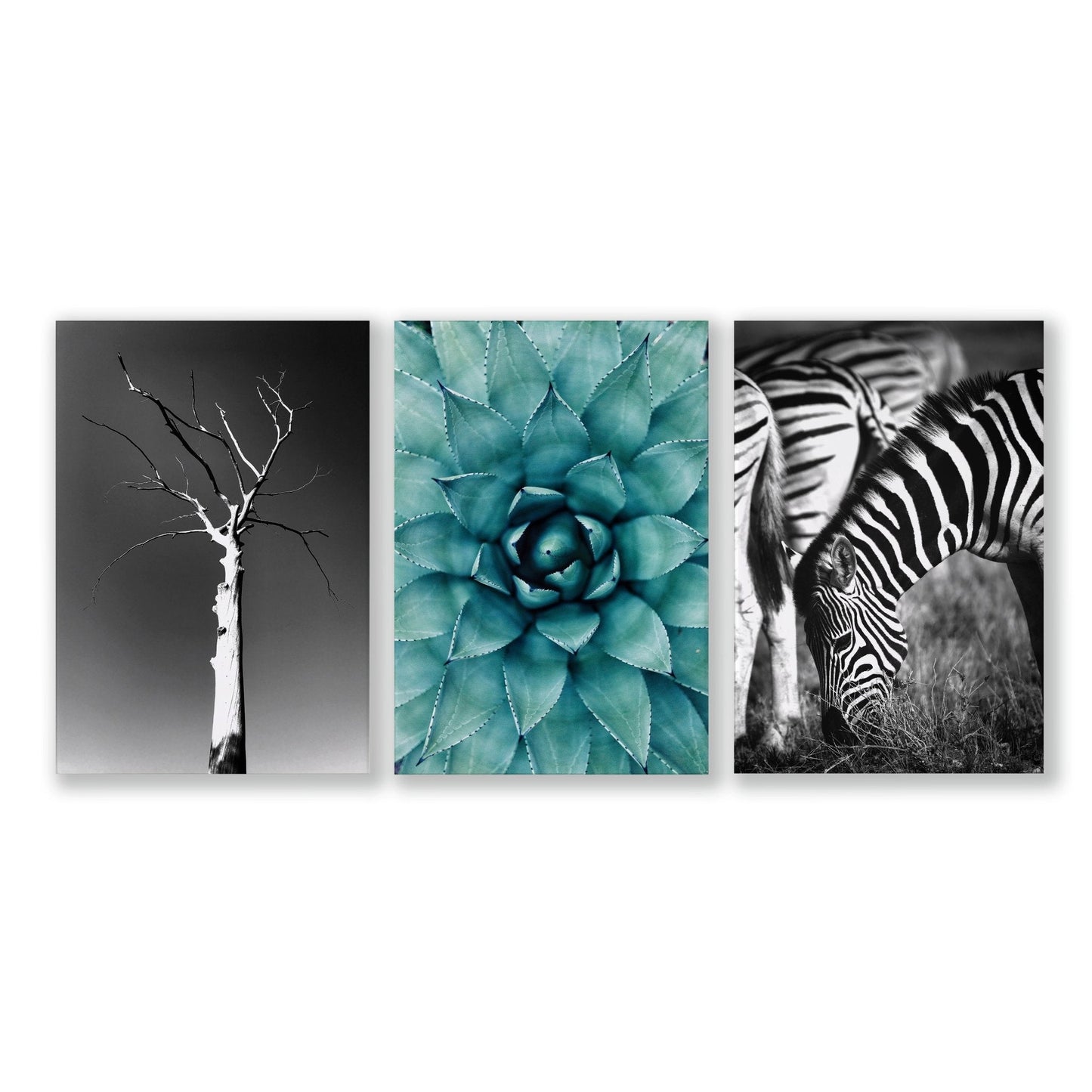 Safari Bedroom | Set of 3 African Wildlife Wall art Prints
