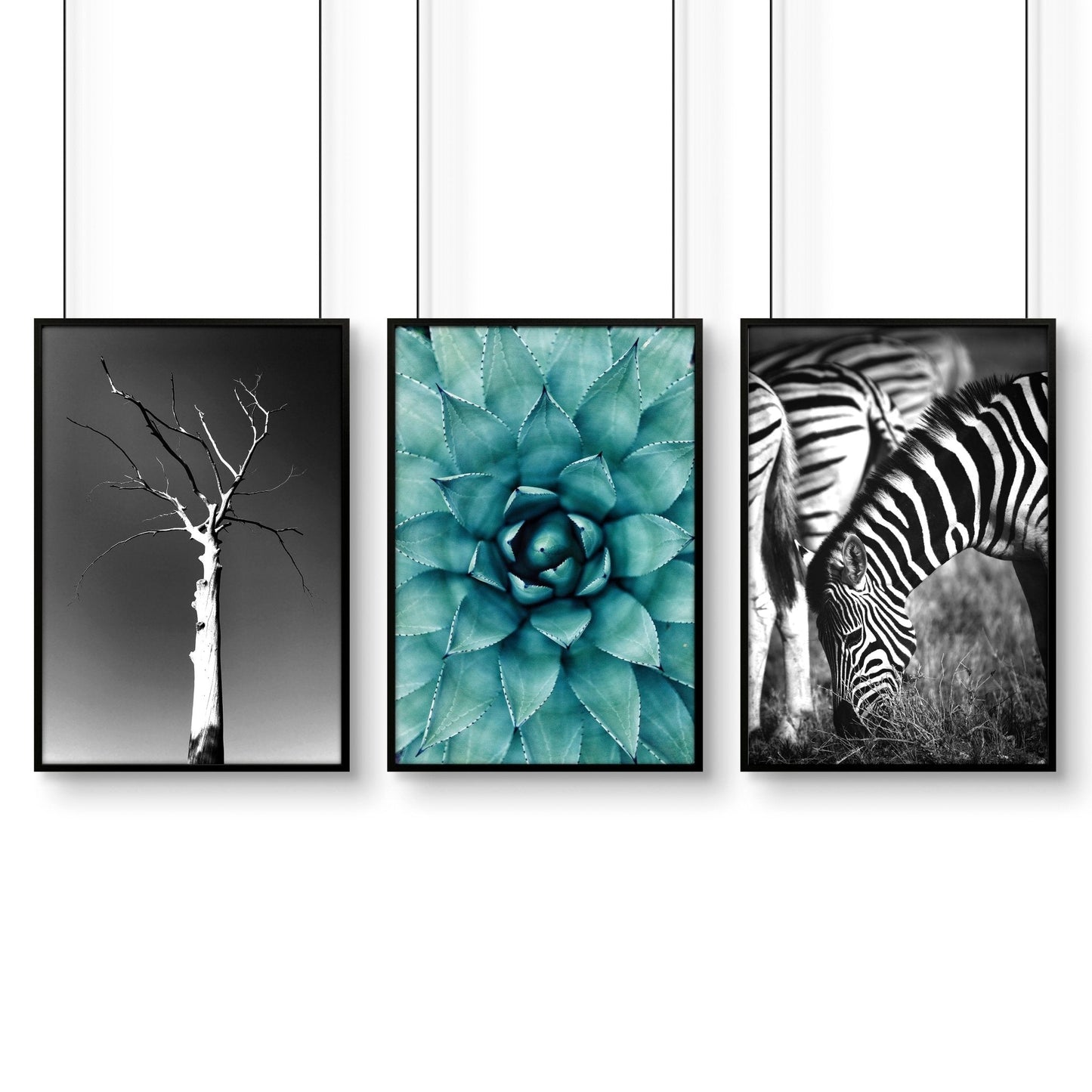 Safari Bedroom | Set of 3 African Wildlife Wall art Prints