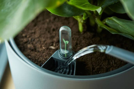 Elho Self-Watering Insert - Various Sizes available