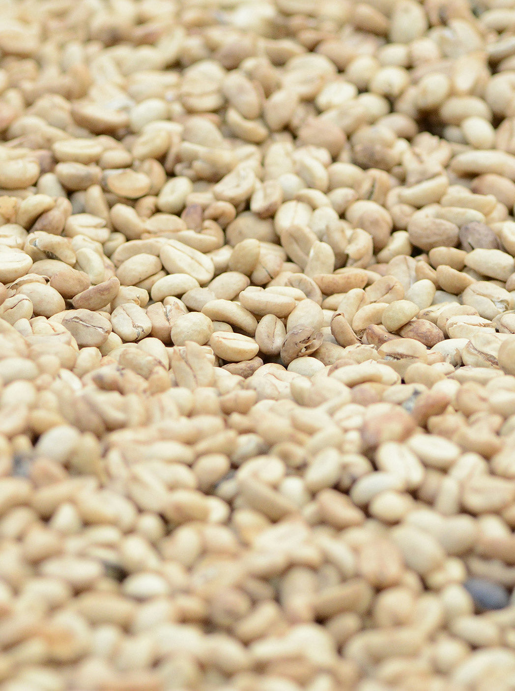 Sesame Oil
