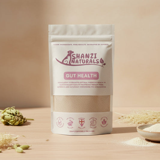 Gut Health Powder - Natural Pre & Pro-biotic