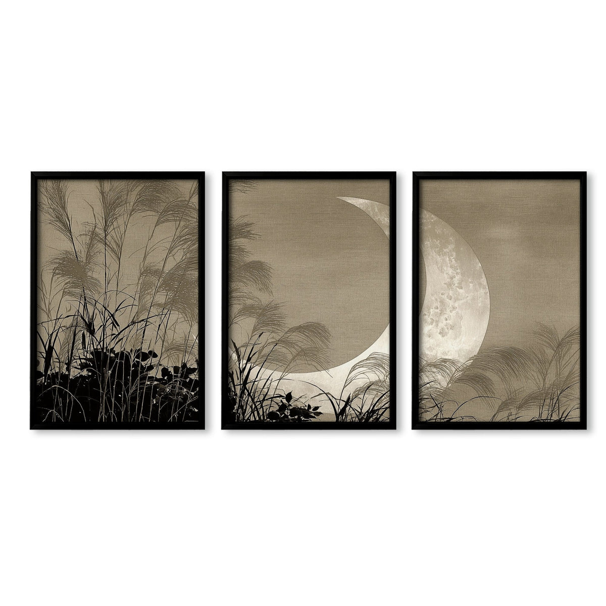 Japan Paintings Crescent Moon & Pampas Grass Japandi Wall Art Prints | Set of 3