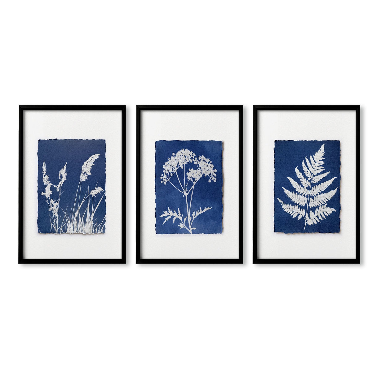 Hallway Wall Art Indigo Cyanotype Botanical Prints | Set of 3