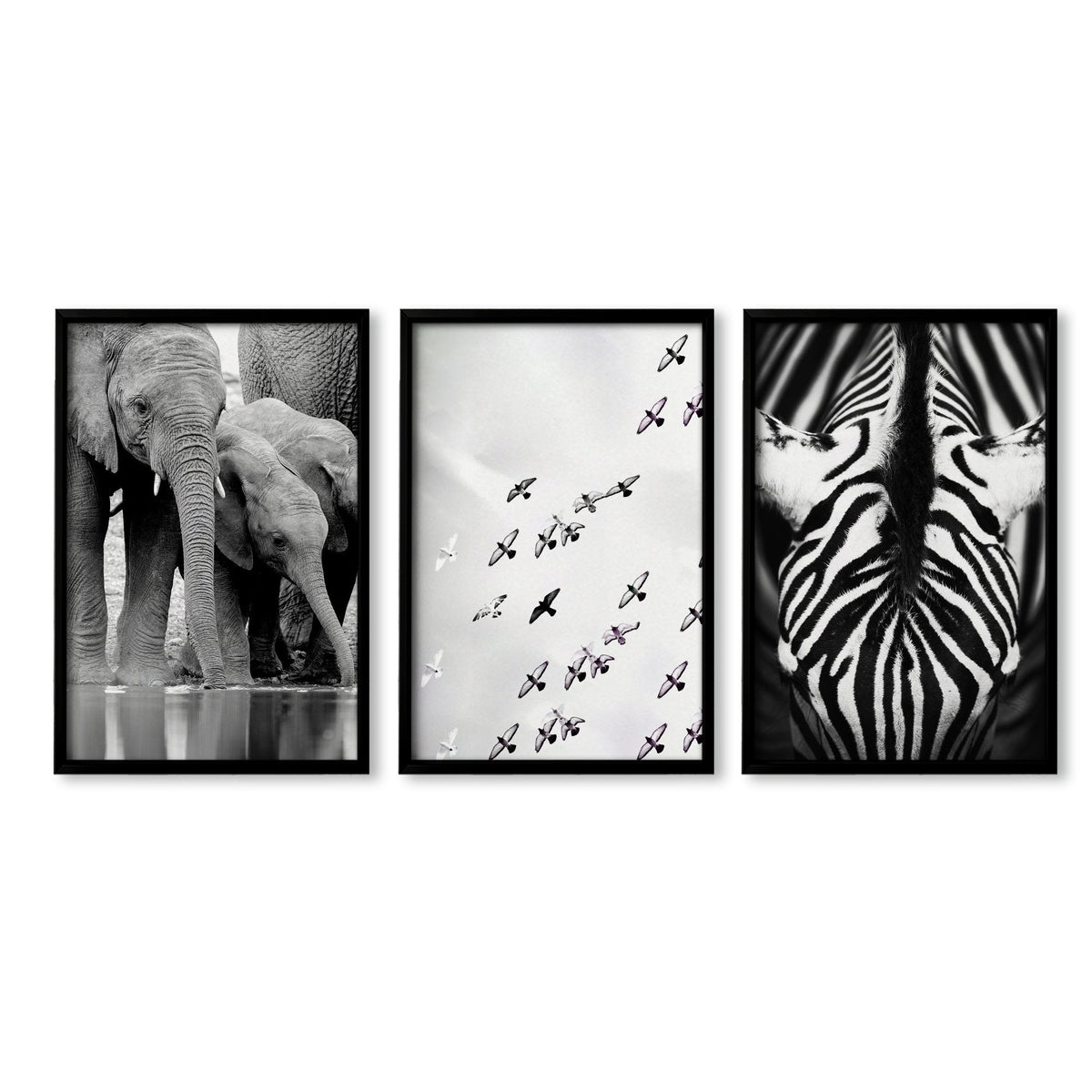 Black and White Photography Wildlife Wall Art Prints | Elephants, Birds & Zebra | Set of 3
