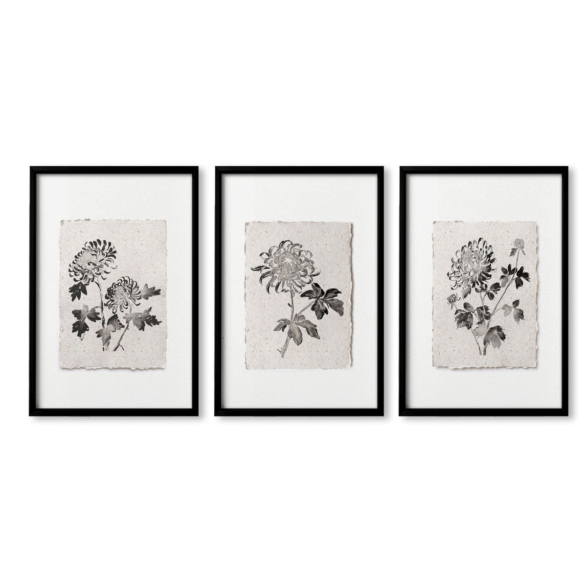 Dining Room Paintings Botanical Chrysanthemum Ink Study Wall Art Prints | Set of 3