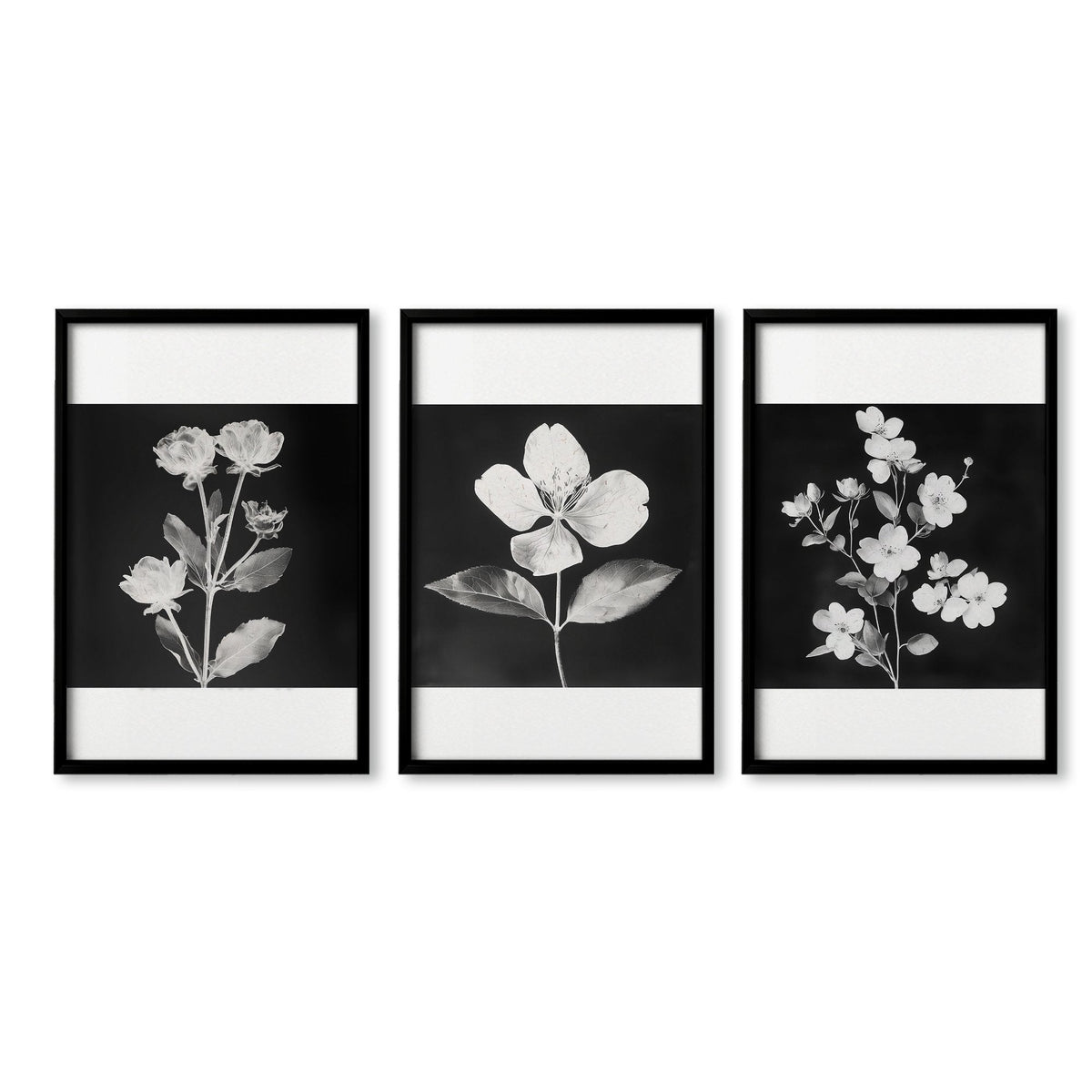 Black Framed Wall Art French Country Botanical Floral Prints | Set of 3