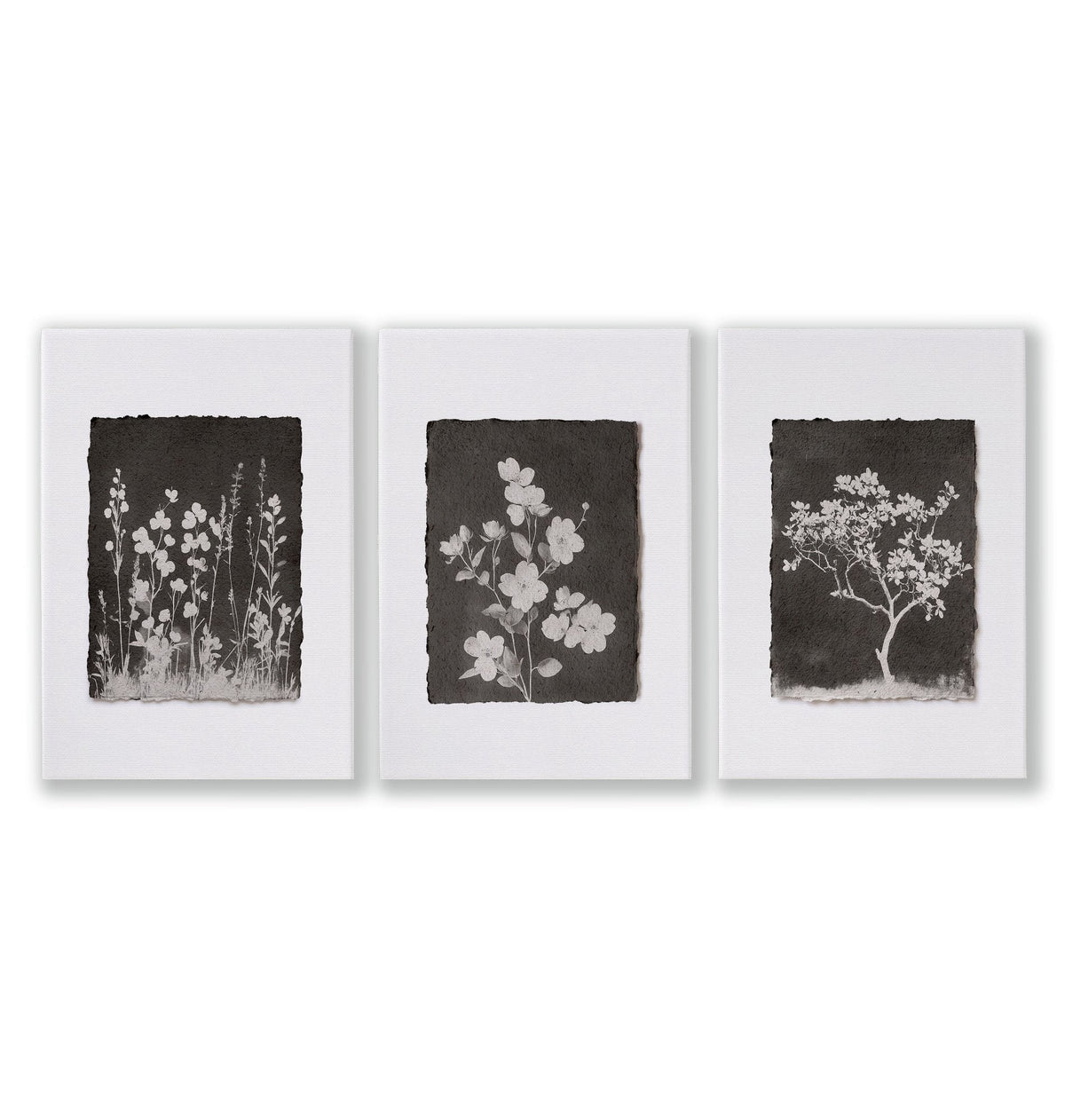 Brown Wall Art Rustic Botanical Wildflowers & Blossom Tree Prints | Set of 3