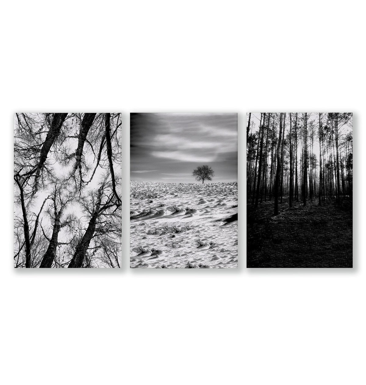 Black White Canvas Prints Forest & Winter Nature Photography Wall Art | Set of 3