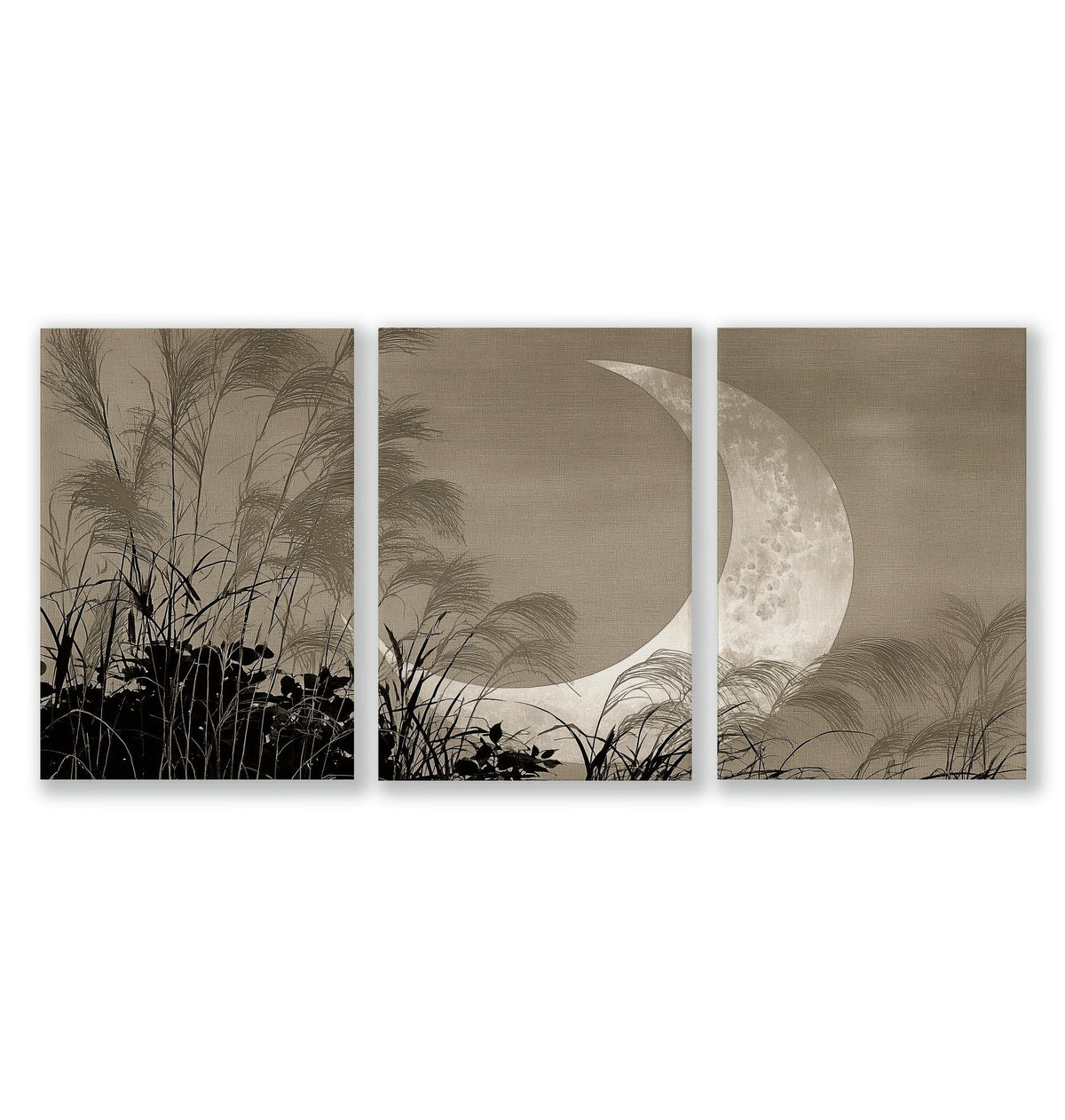 Japandi Crescent Moon & Pampas Grass Living Room Canvas Art | Set of 3