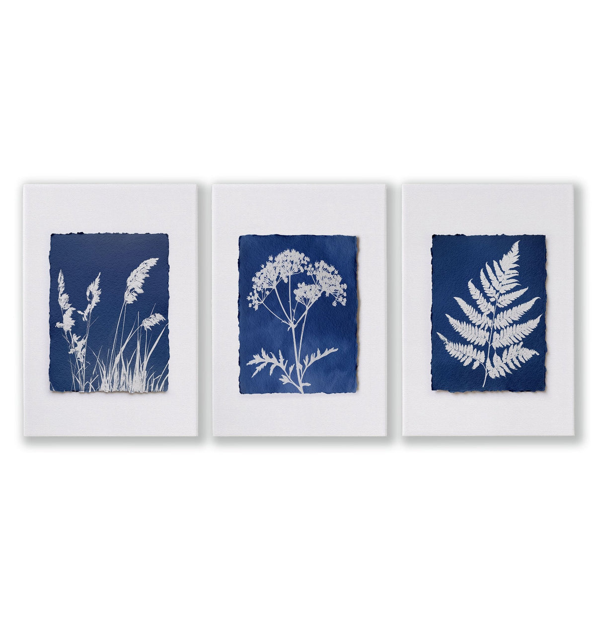 Wall Paintings for Kitchen Indigo Cyanotype Botanical Nature Prints | Set of 3