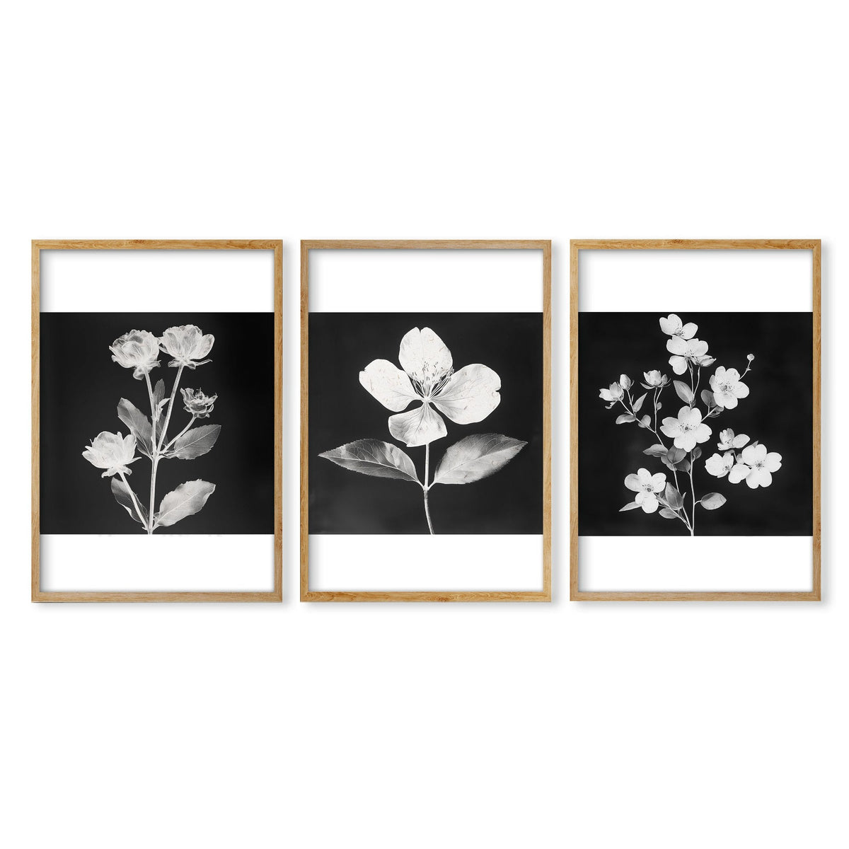 Artwork for a Kitchen Wall Black & White Botanical Floral Wall Art Prints | Set of 3